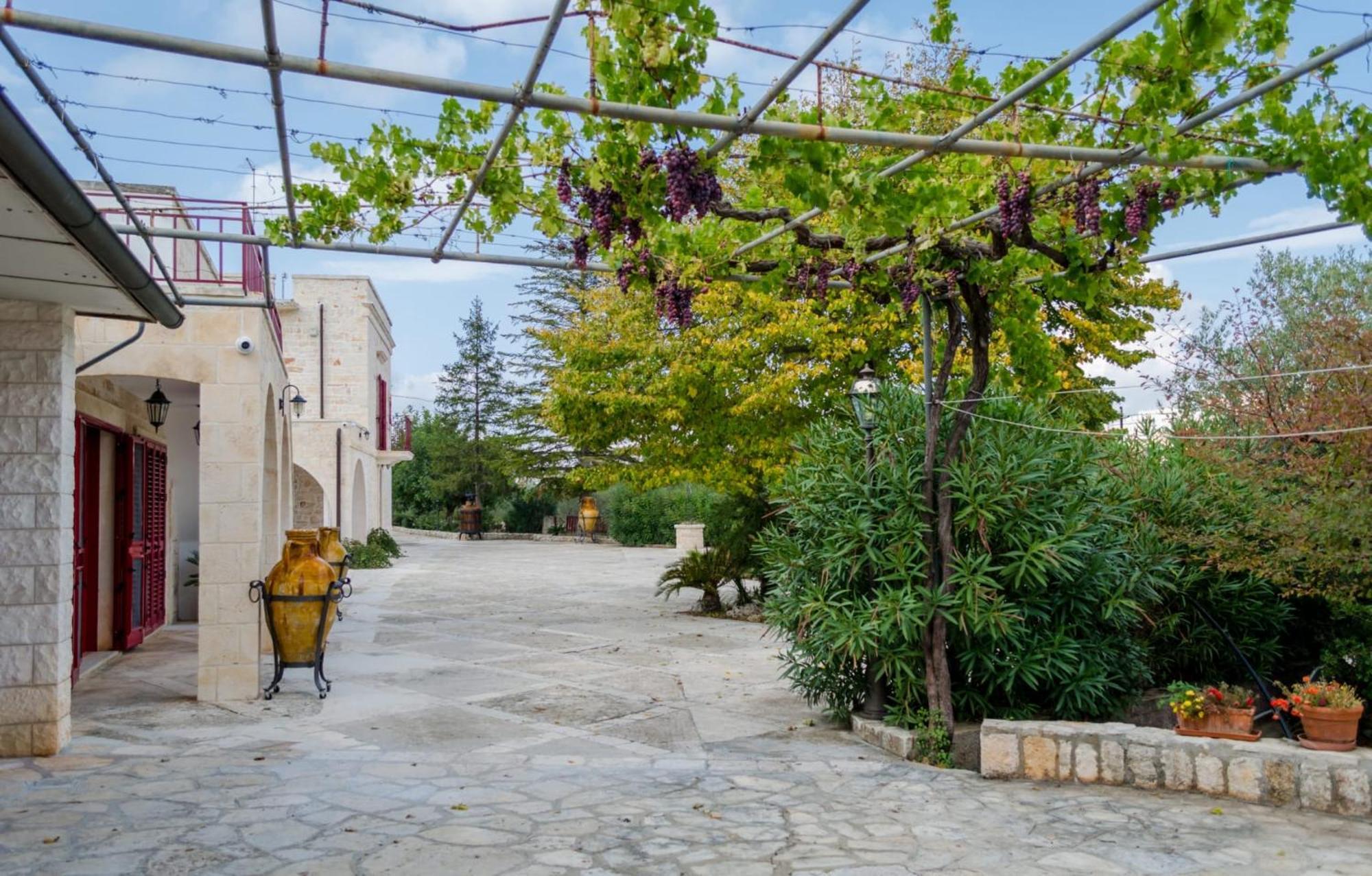 Masseria Trulli Bruni โลโกโรตอนโด ภายนอก รูปภาพ