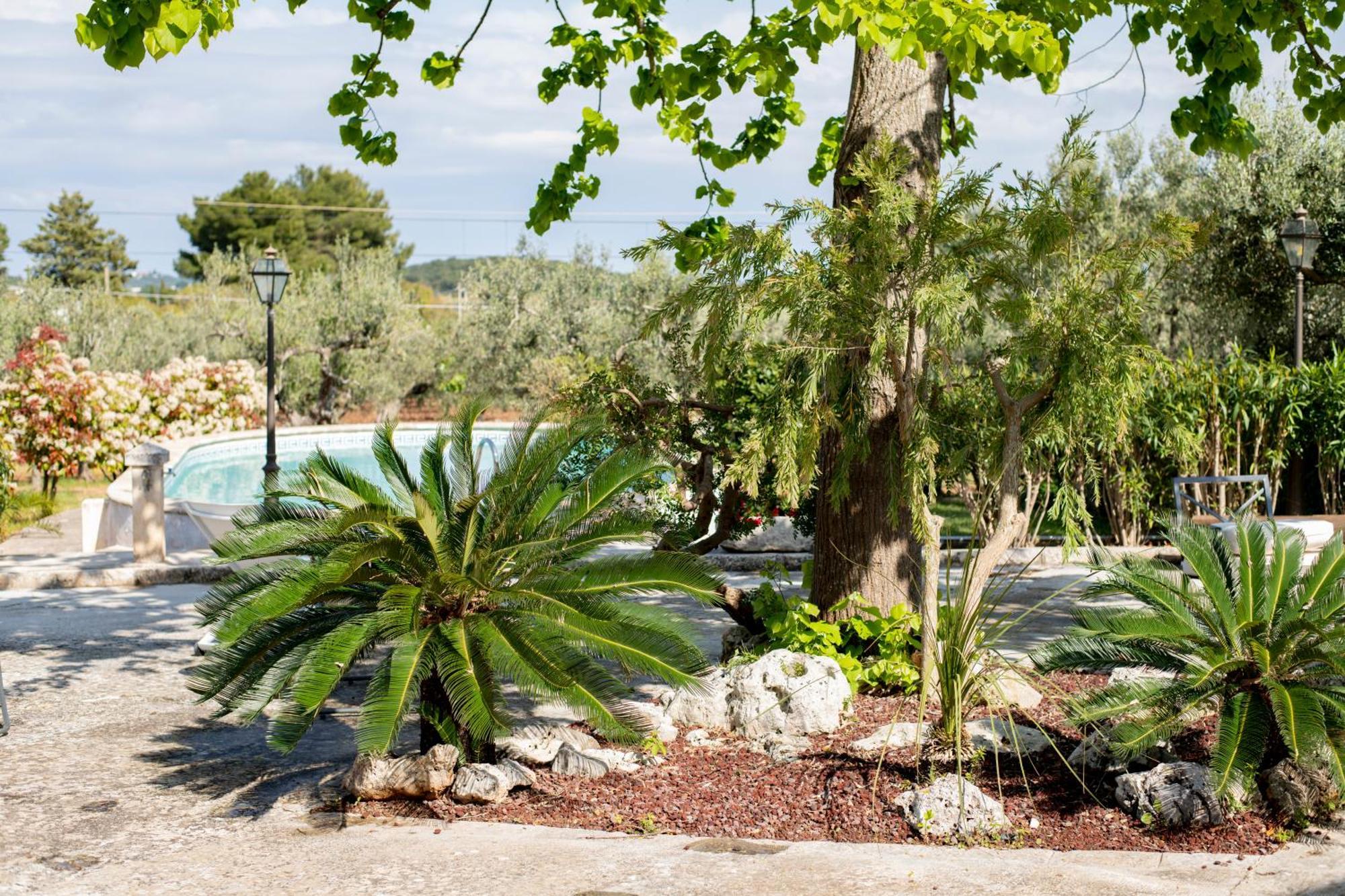 Masseria Trulli Bruni โลโกโรตอนโด ภายนอก รูปภาพ